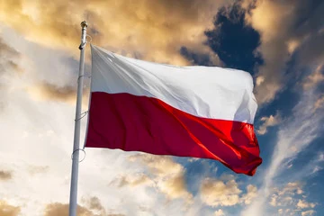 Drugi rodzic w Polsce